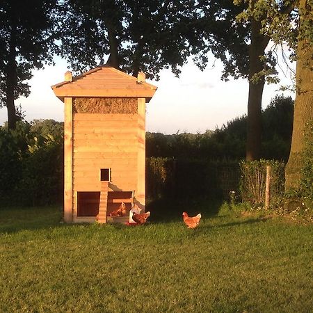 Bed En Boterham Hoeve Boord Ven Bed and Breakfast Eersel Esterno foto